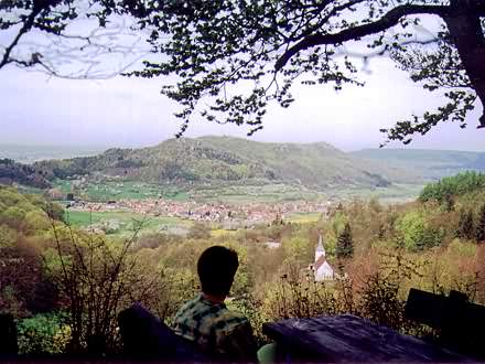 Zehn Minuten gemtliche Wanderung durch Feld und Wald und Sie gelangen an den Juraabbruch(Ausschnitt)